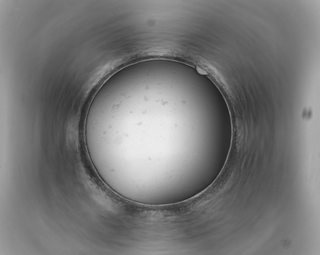 X0000091660482200709061023