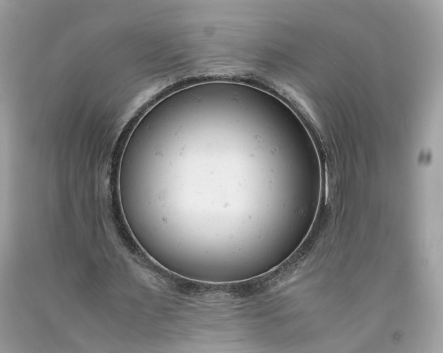 X0000091660483200709061023