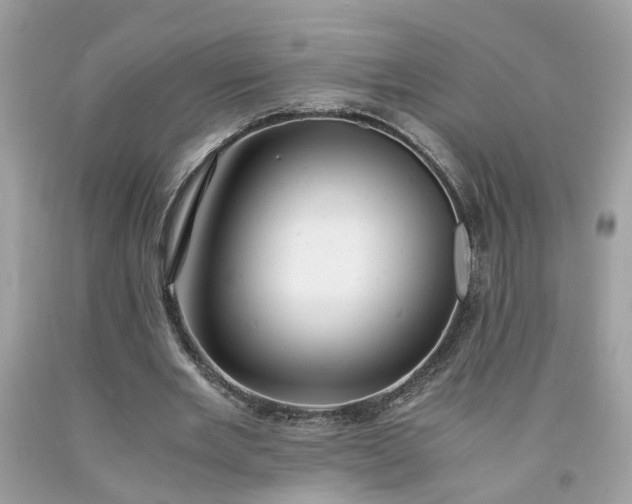 X0000091660485200709061023