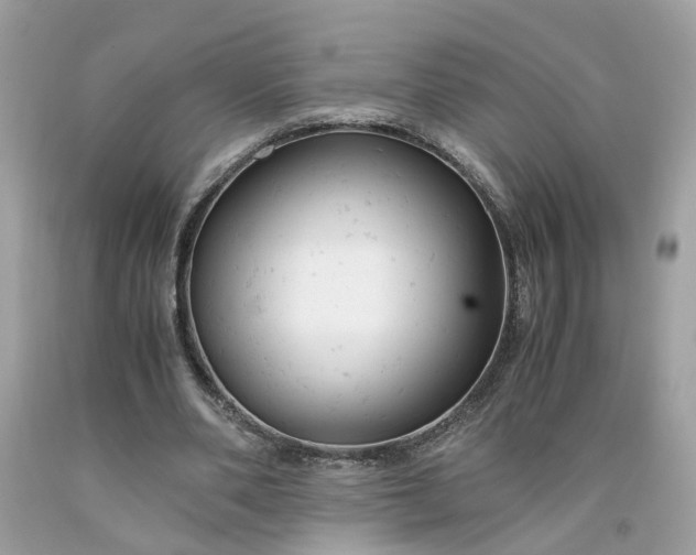 X0000091660486200709061023