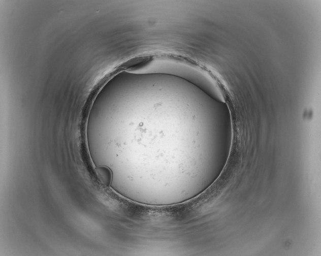 X0000091660487200709061023