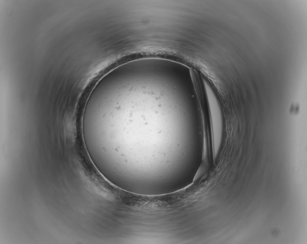 X0000091660488200709061023