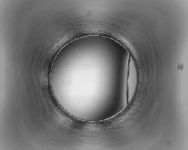 X0000091660489200709061023