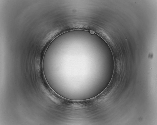 X0000091660490200709061023