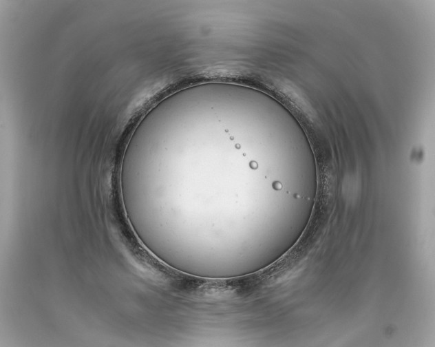 X0000091660491200709061023