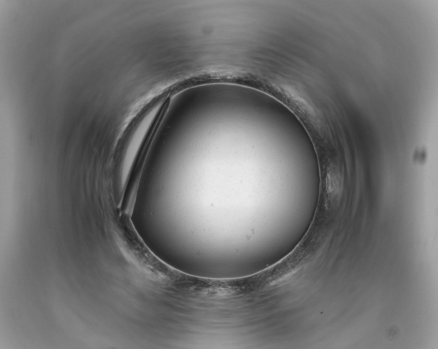 X0000091660492200709061023