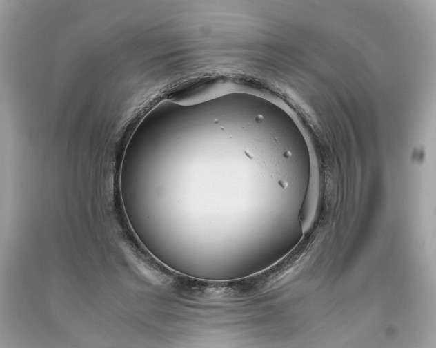 X0000091660493200709061023