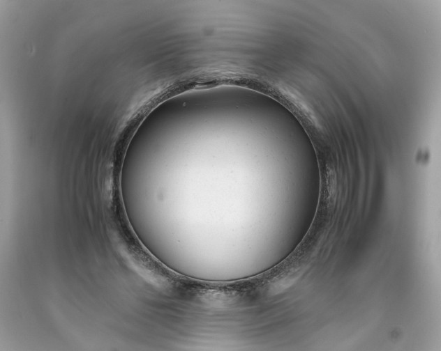 X0000091660494200709061023