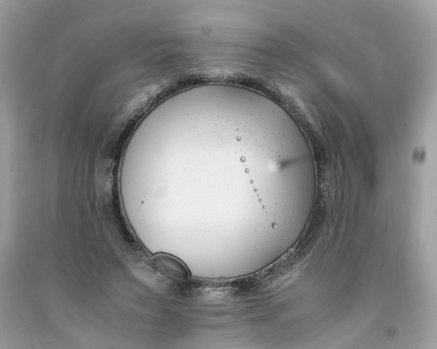 X0000091660495200709061023