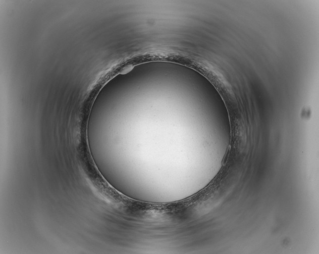 X0000091660496200709061023