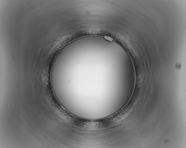 X0000091660497200709061023