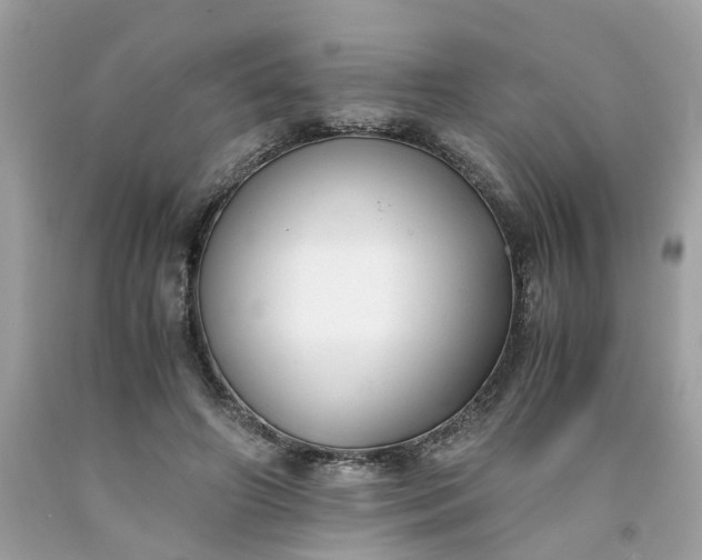 X0000091660498200709061023