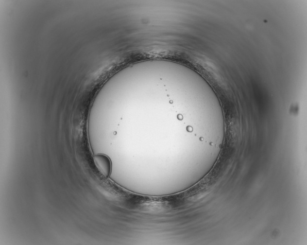 X0000091660499200709061023