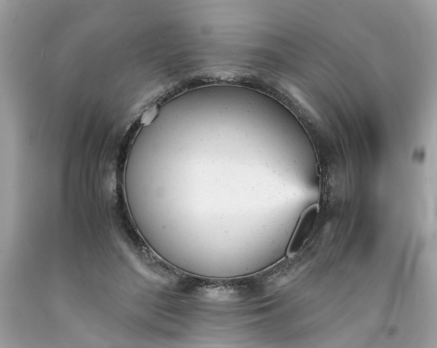 X0000091660500200709061023