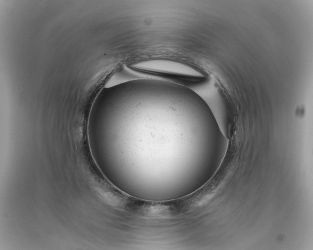 X0000091660501200709061023