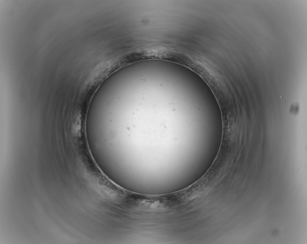 X0000091660502200709061023