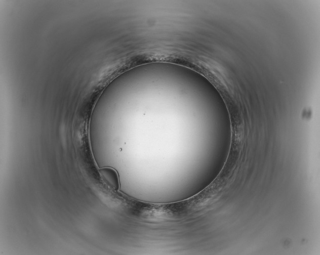 X0000091660503200709061023