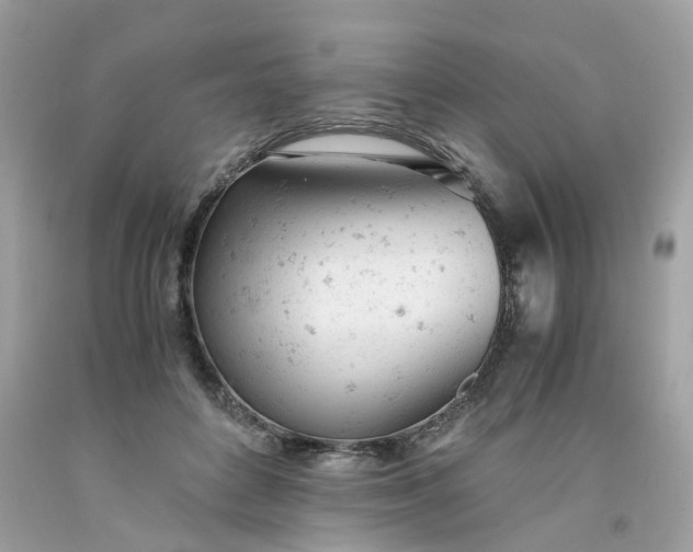 X0000091660504200709061023