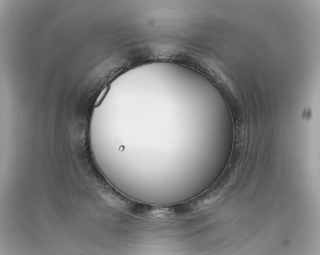 X0000091660505200709061023