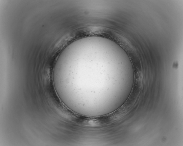 X0000091660506200709061023