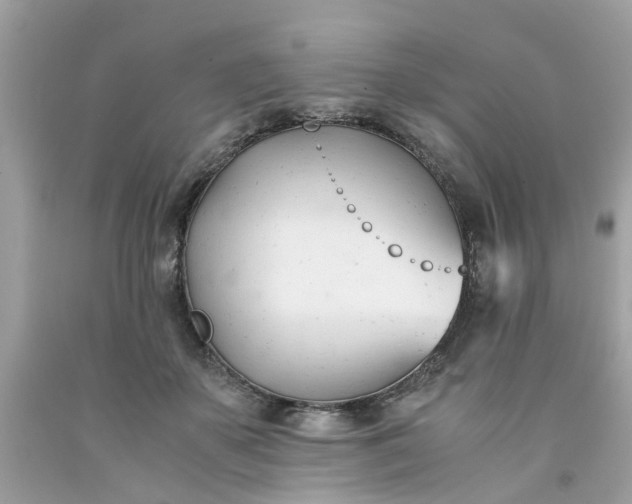 X0000091660507200709061023