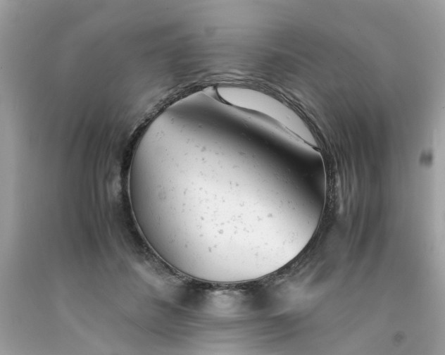 X0000091660508200709061023