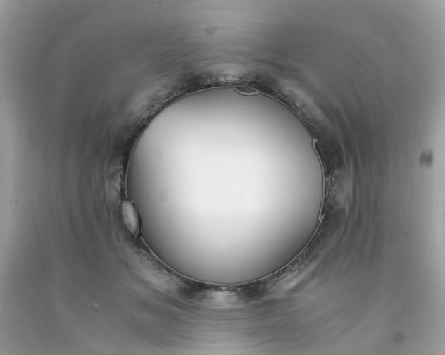 X0000091660509200709061023