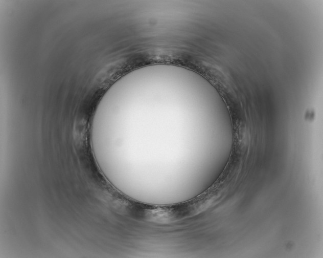 X0000091660511200709061023