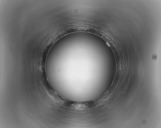 X0000091660512200709061023