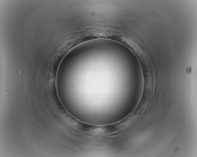 X0000091660513200709061023