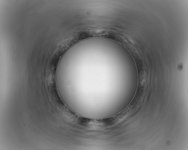 X0000091660515200709061023