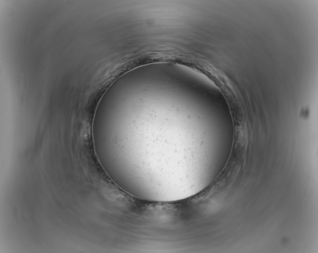 X0000091660517200709061023