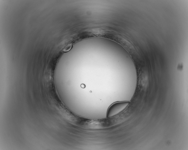 X0000091660518200709061023