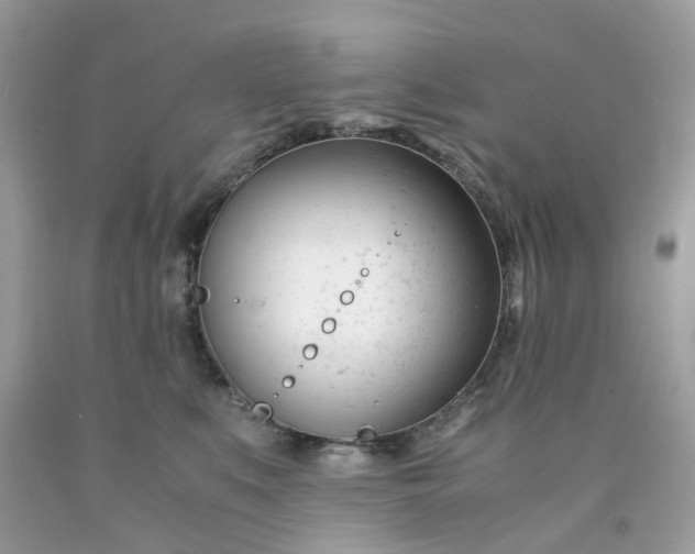 X0000091660519200709061023