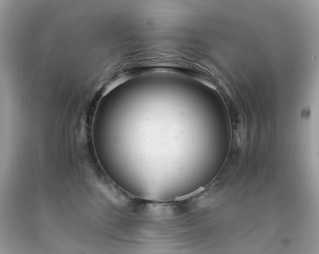 X0000091660520200709061023