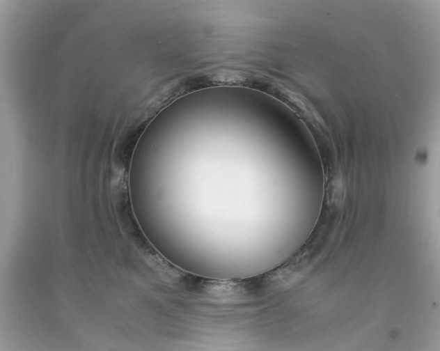 X0000091660521200709061023