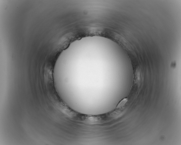 X0000091660522200709061023