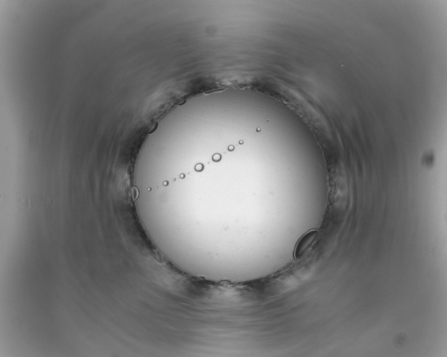 X0000091660523200709061023