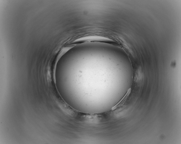 X0000091660524200709061023