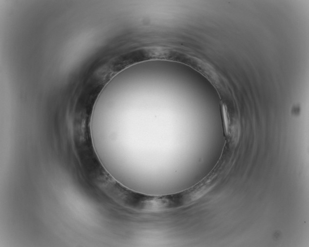 X0000091660525200709061023