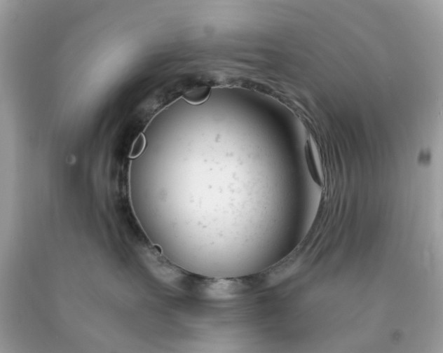 X0000091660527200709061023