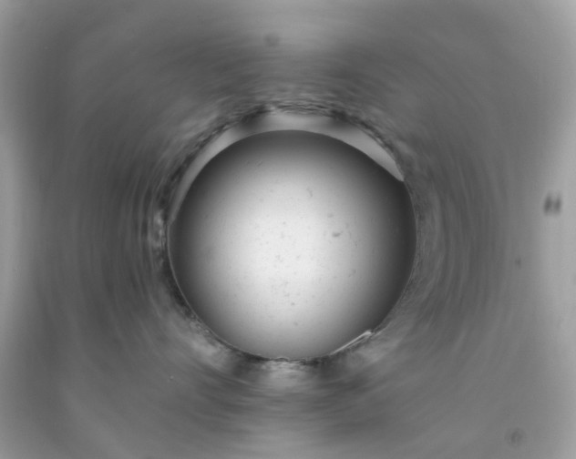 X0000091660528200709061023