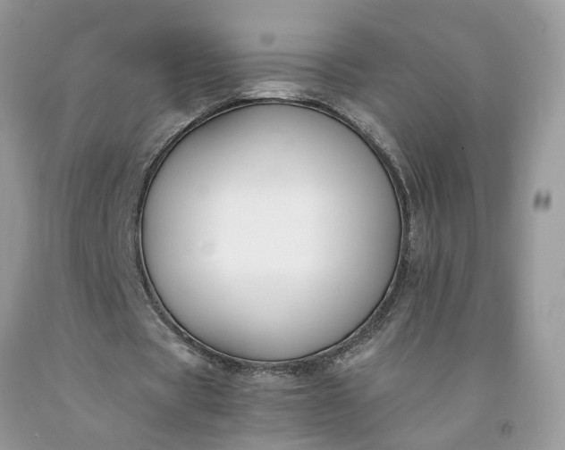 X0000091660529200709061022