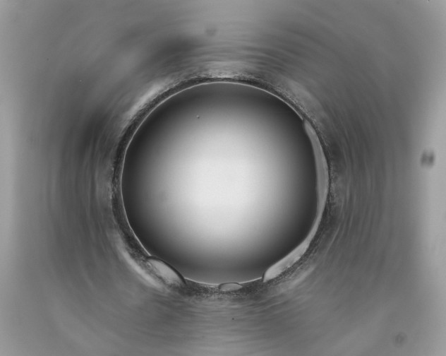 X0000091660530200709061022