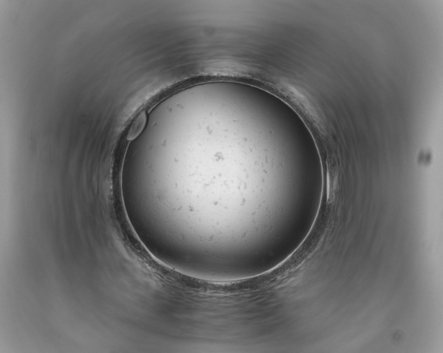 X0000091660531200709061022