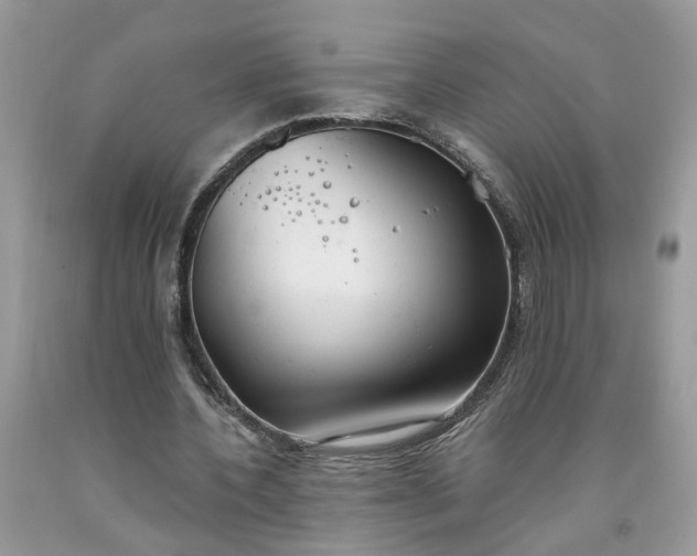 X0000091660532200709061022