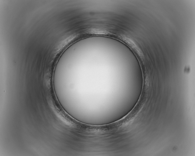 X0000091660533200709061022