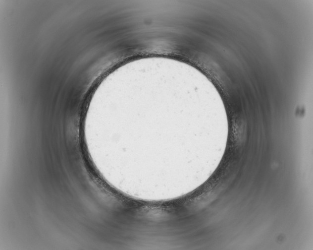 X0000091660534200709061022