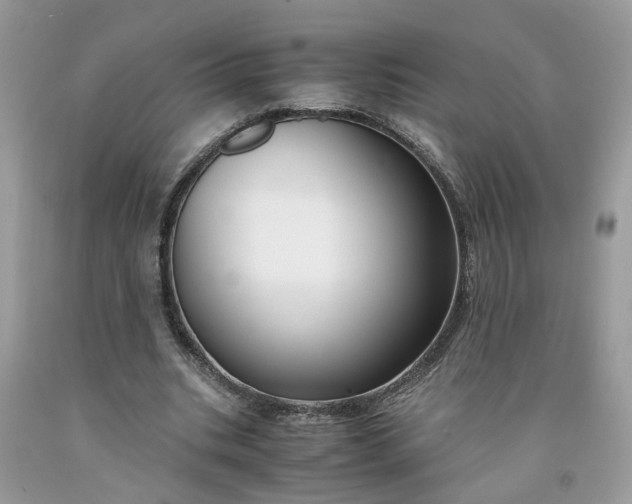 X0000091660535200709061022