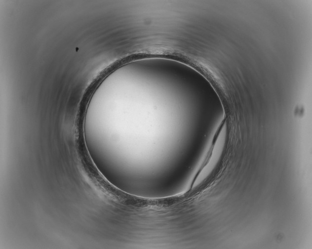 X0000091660536200709061022